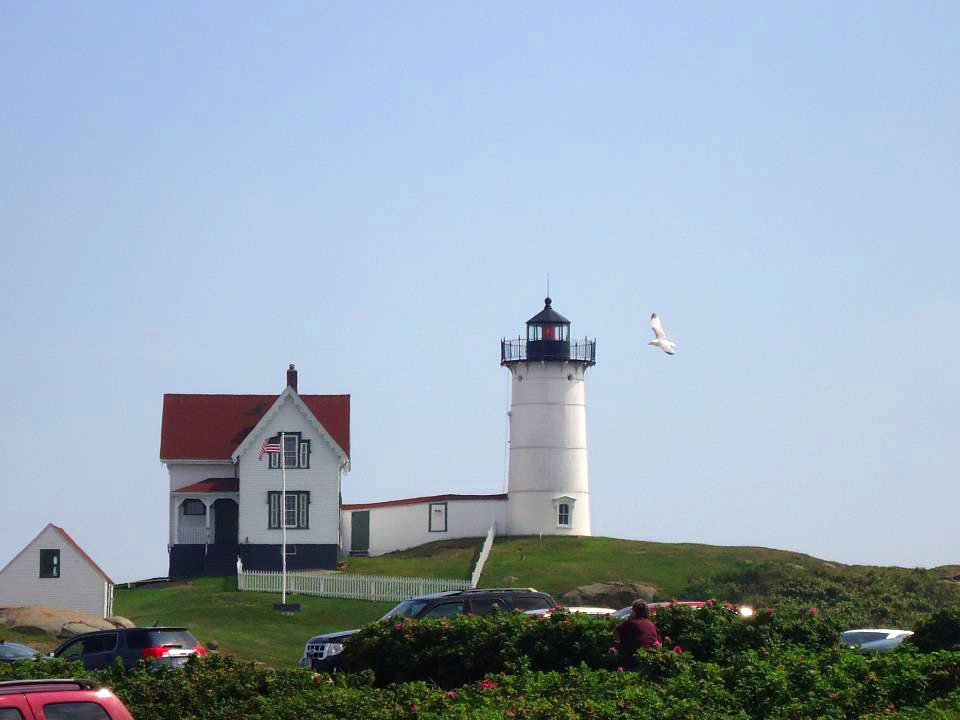 nubble-with-seagull